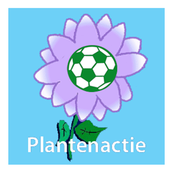 Plantenactie! Koop een plantje van een jeugdlid aan de deur of koop op de parkeerplaats van sportclub Den Dungen een plantje.